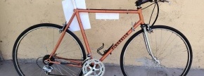 1.	Vrsta premičnine: rabljeno moško kolo
Znamka: Pinarello
Opis: oranžne barve, brez serijskih števi