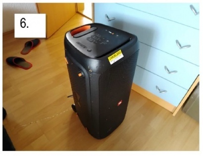 BREZŽIČNI ZVOČNIK PARTYBOX 310