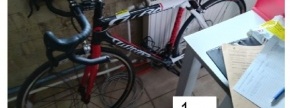 CESTNO KOLO WILIER TRIESTINA