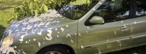 Citroen xsara 1,6 L2003 VFN1NFVB73791922