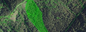 Gozdno, kmetijsko zemljišče - Zgornje Gruškovje, 2286 Podlehnik