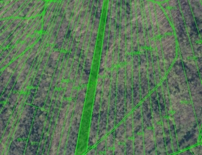 Gozdno zemljišče - Javor, 1261 Ljubljana - Dobrunje