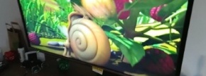 LCD TV PANASONIC