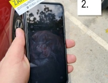MOBILNI TELEFON XIAOMI HYPER OS POCO M4 PRO 5G