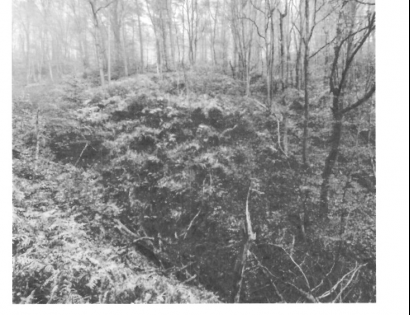 Ostalo - / /, 1000 Ljubljana