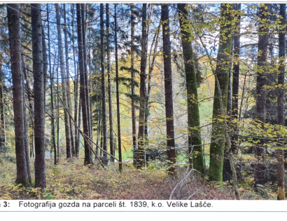 Ostalo - / /, 1000 Ljubljana