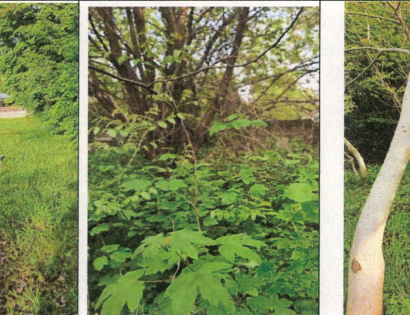 Ostalo - . ., 2250 Ptuj