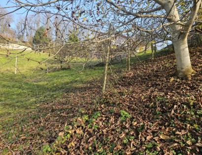 Ostalo - / /, 2252 Dornava