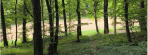 Ostalo - . ., 2253 Destrnik