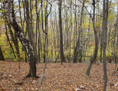 Ostalo - / /, 2289 Stoperce