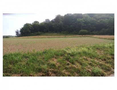 Ostalo - / /, 2319 Poljčane