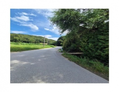 Ostalo - / /, 2319 Poljčane