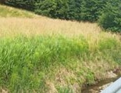 Ostalo - / /, 2319 Poljčane