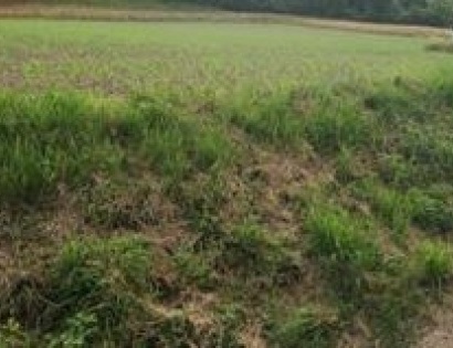 Ostalo - / /, 2319 Poljčane