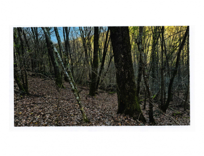 Ostalo - 2622 2358/1, 6272 Gračišče