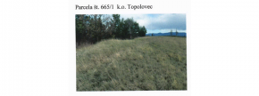 Ostalo - 2622 665/1, 6272 Gračišče