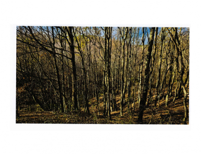 Ostalo - 2622 805/1, 6272 Gračišče