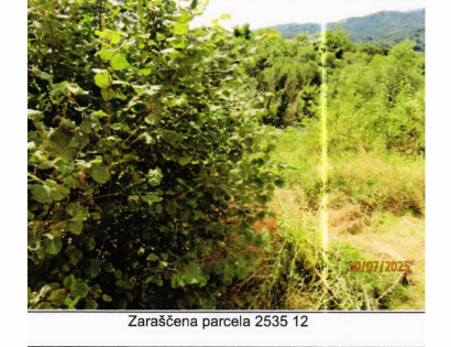 Ostalo -    , 6250 Ilirska Bistrica