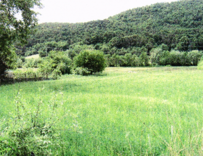Ostalo - bližina Streliške ceste /, 2000 Maribor