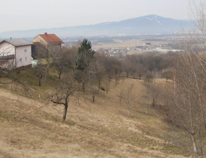 Ostalo - Celestrina 16, 2229 Malečnik