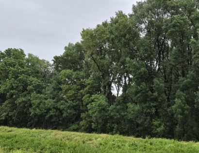 Ostalo - delež v Urbarialni skupnosti Lendava, 9220 Lendava/Lendva