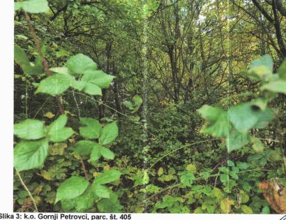 Ostalo - Gornji Petrovci  /, 9203 Petrovci