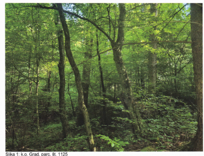 Ostalo - Grad /, 9264 Grad