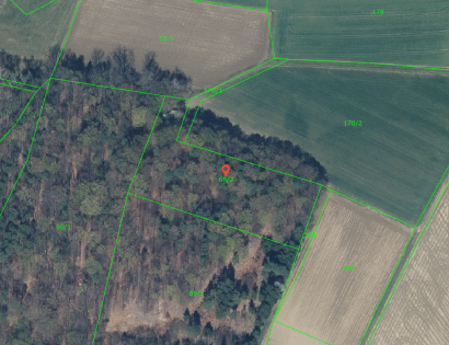 Ostalo - Jamna ., 9244 Sveti Jurij ob Ščavnici