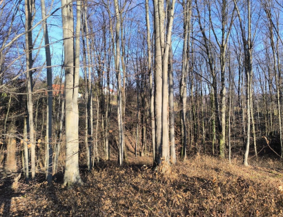 Ostalo - Janežovski Vrh /, 2253 Destrnik