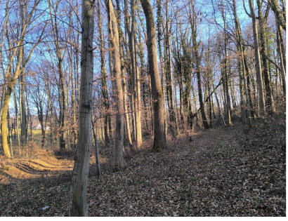 Ostalo - Janežovski Vrh /, 2253 Destrnik