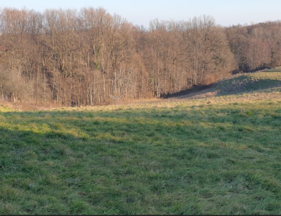 Ostalo - Janežovski Vrh /, 2253 Destrnik