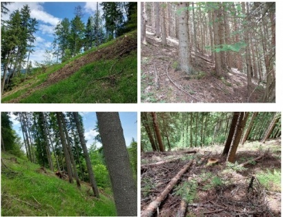 Ostalo - Koprivna 47, 2393 Črna na Koroškem