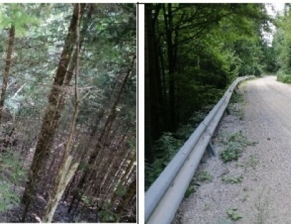 Ostalo - Koprivna 47, 2393 Črna na Koroškem