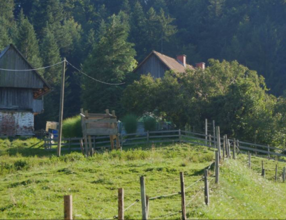 Ostalo - Kumen 12, 2344 Lovrenc na Pohorju