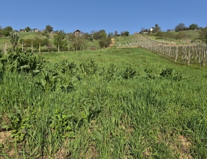 Ostalo - Lendavske Gorice 641, 9220 Lendava/Lendva