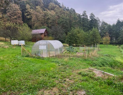Ostalo - Letuš 80/a, 3327 Šmartno ob Paki