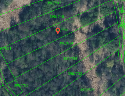 Ostalo - Lipa 3, 9231 Beltinci