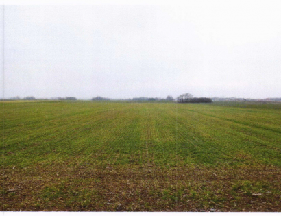 Ostalo - Lipa /, 9231 Beltinci