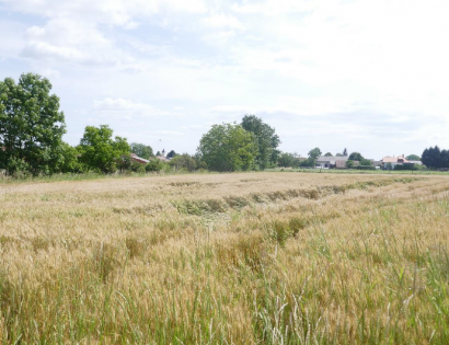 Ostalo - Mlinska ulica 6, 9241 Veržej