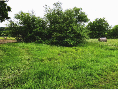 Ostalo - Motovilci  /, 9264 Grad