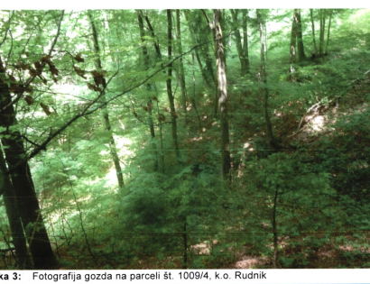 Ostalo - parcela se nahaja severno od naselja Lavrica  , 1291 Škofljica