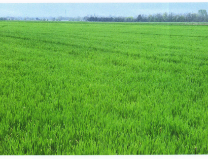 Ostalo - Satahovci /, 9000 Murska Sobota