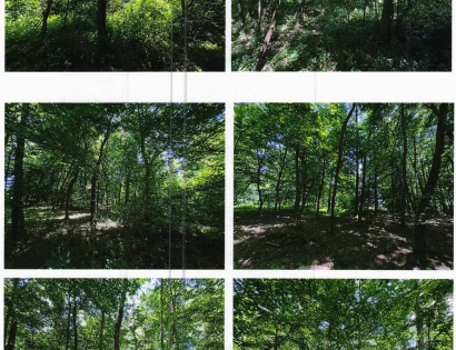 Ostalo - Satahovci  /, 9000 Murska Sobota
