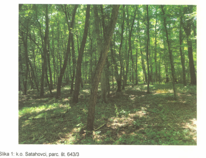 Ostalo - Satahovci  /, 9000 Murska Sobota