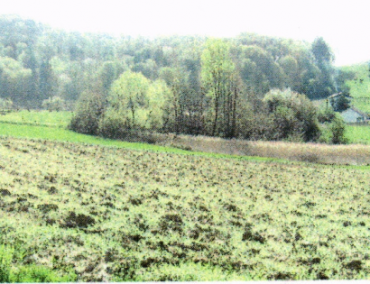 Ostalo - Spodnja Korena b. št. , 2241 Spodnji Duplek