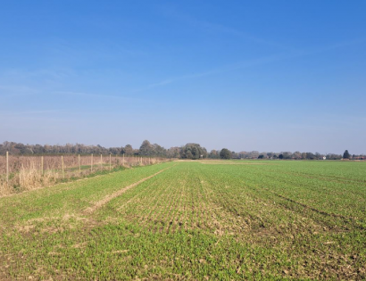 Ostalo - Stara Nova vas 25a, 9242 Križevci pri Ljutomeru