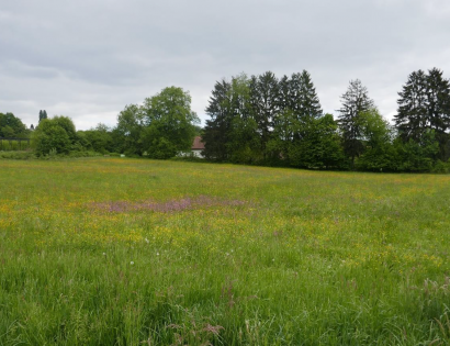 Ostalo - Terbegovci ., 9244 Sveti Jurij ob Ščavnici