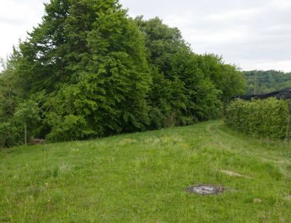 Ostalo - Terbegovci ., 9244 Sveti Jurij ob Ščavnici