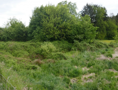 Ostalo - Terbegovci ., 9244 Sveti Jurij ob Ščavnici