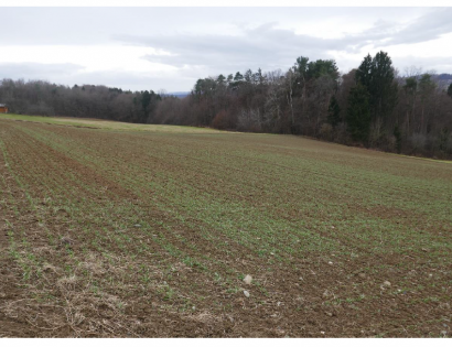 Ostalo - Večeslavci /, 9262 Rogašovci